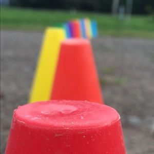 Meet your Posher, Ellen